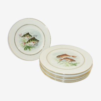 Lot 6 assiettes à poisson anciennes, porcelaine Sofafils