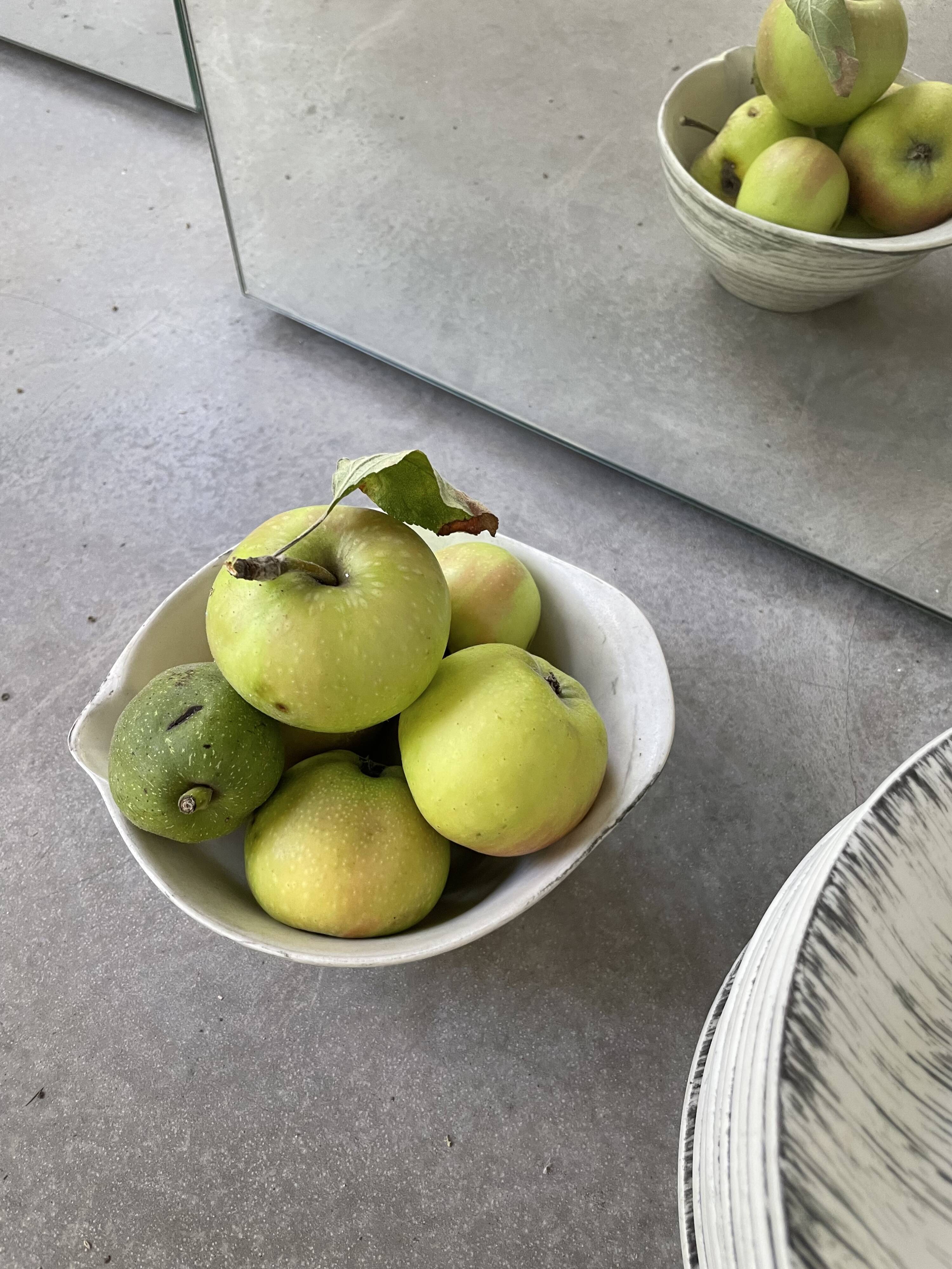 Set of plates and dishes Bazas de Salins 1960