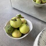 Ensemble assiettes et plats Bazas de Salins 1960