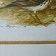 Birds - collection Hepatior N ° 38