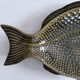 Vintage olive green fish Slurry
