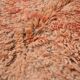 Peach Vintage Moroccan Rug 183 x 274 cm, Berber Wool Rug, Bohemian Rug