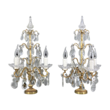 Paire girandoles chandelier bronze & cristal style Louis XV