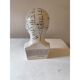 Cracked earthenware phrenology bust by Fowler