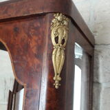 Vitrine cabinet de curiosités 1920