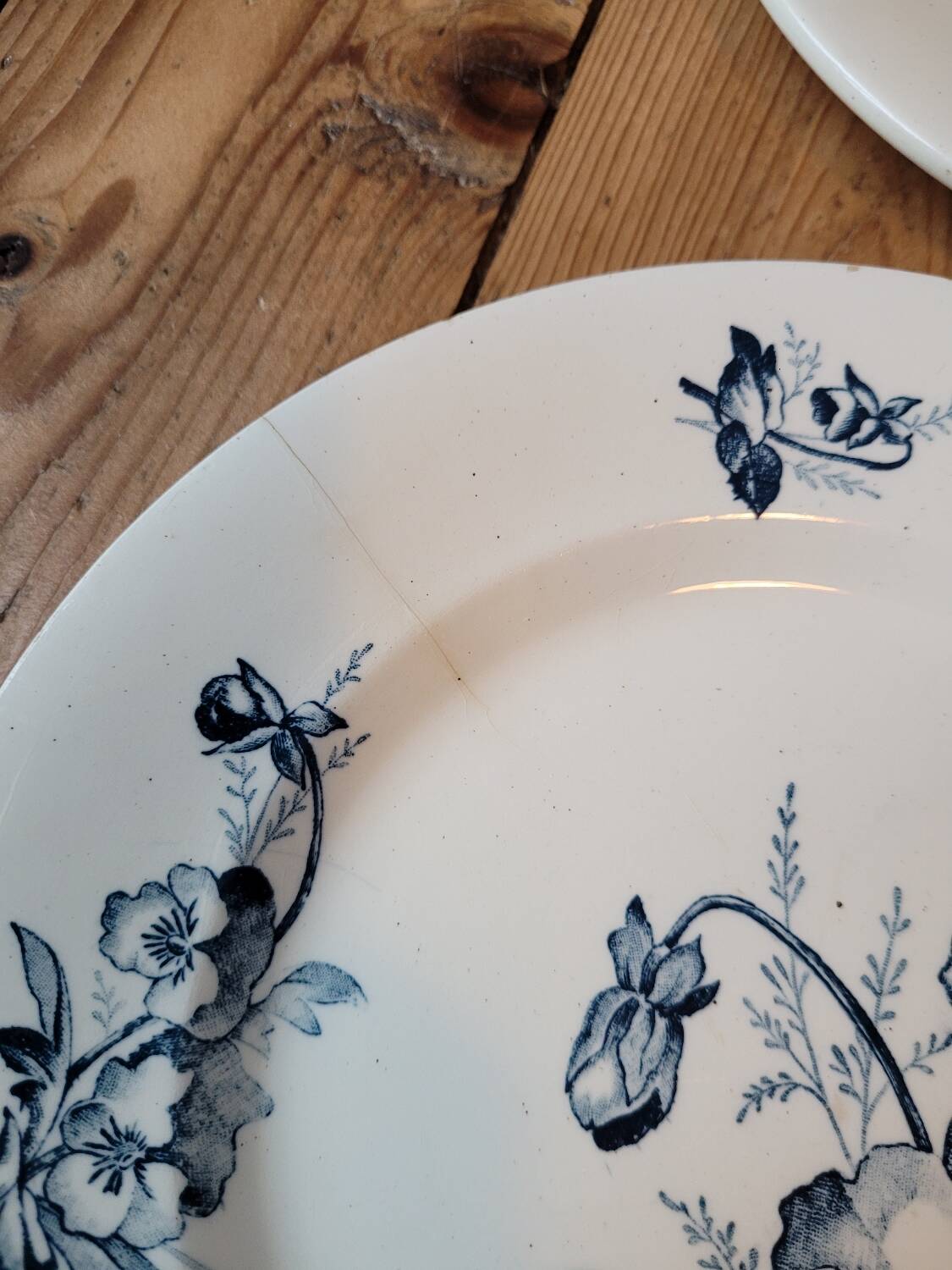 Lot de 7 assiettes à dessert "Pensées" en Terre de Fer, Salins