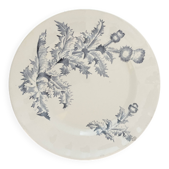 Longchamp ironstone plate, Chardon model