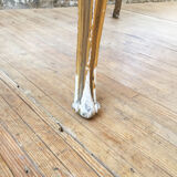 Louis XV marble coffee table