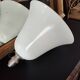 Antique albalite opaline glass pendant