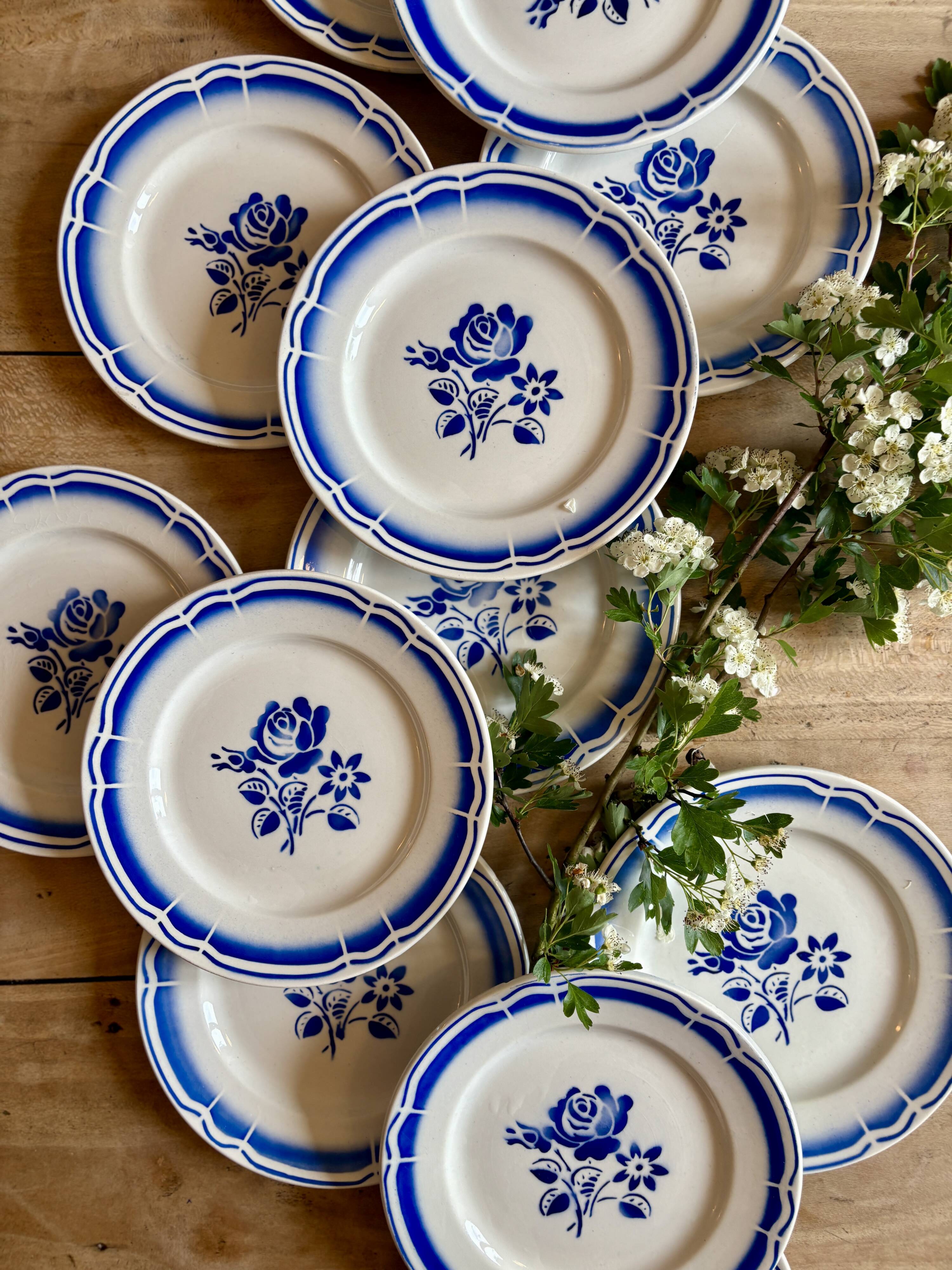 Set of 12 vintage blue flower dessert plates