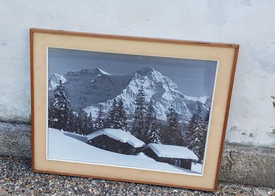 Vintage mountain view photo