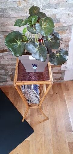 Rattan glass magazine holder