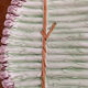 Plat à asperge