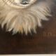 Oil on canvas dog portrait