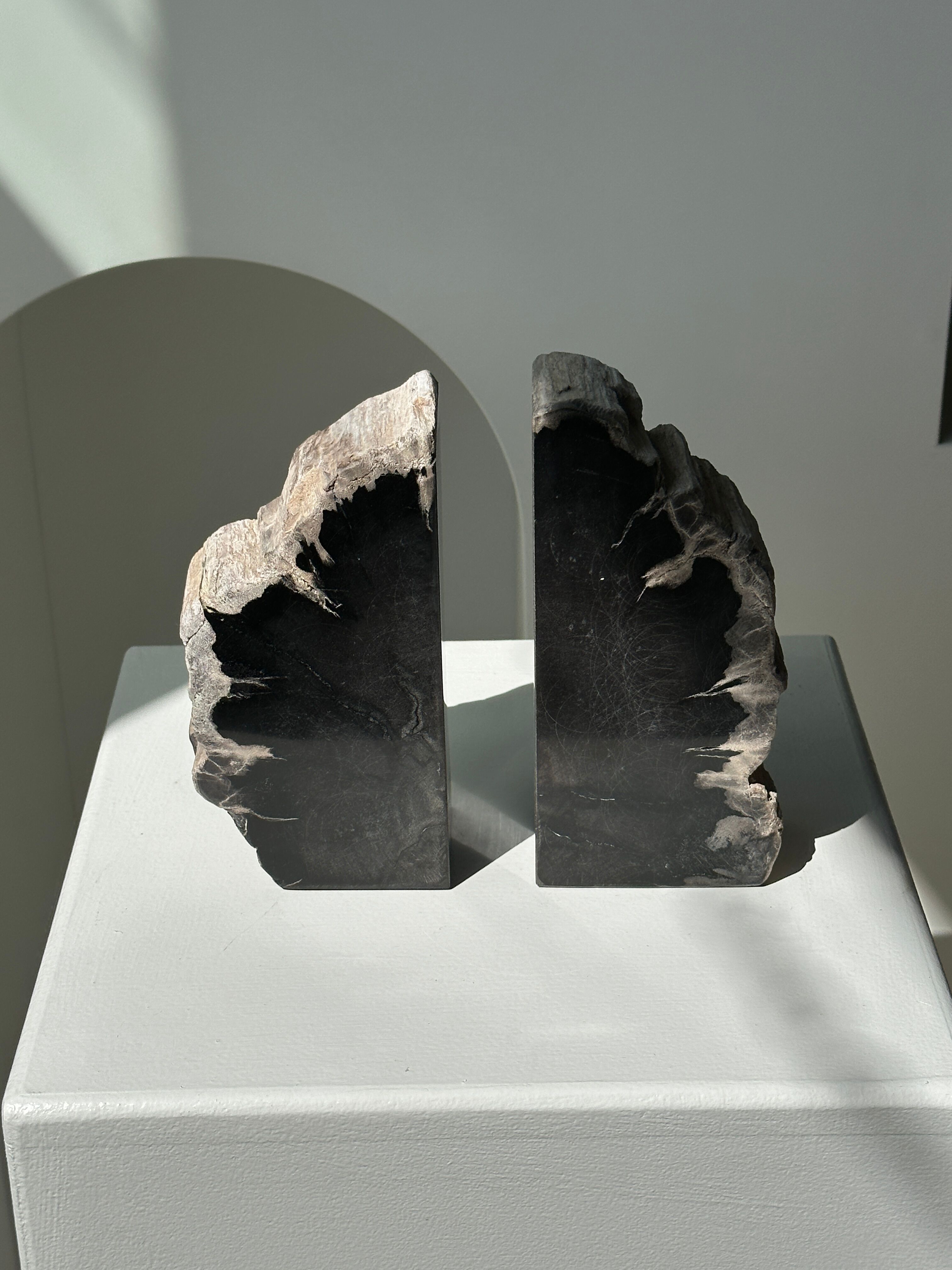 Black petrified wood bookend H17 L17 P6