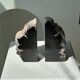 Black petrified wood bookend H17 L17 P6