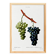 Vintage poster on the vine, based on an engraving from 1802.