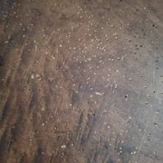 Grande coupe en bois ancienne