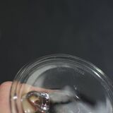 6 Bormioli Rocco Italy Glass Ice Cream Cups