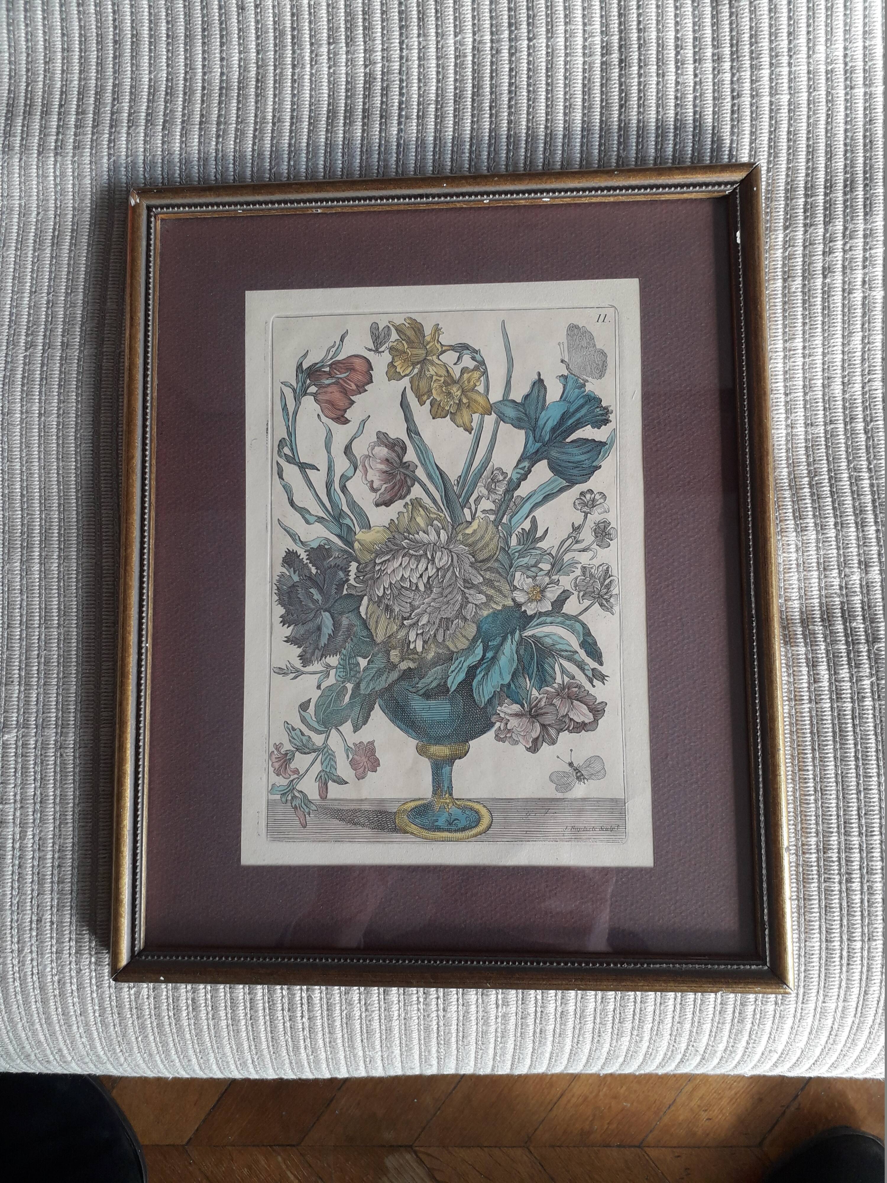 Ancient botanical engraving