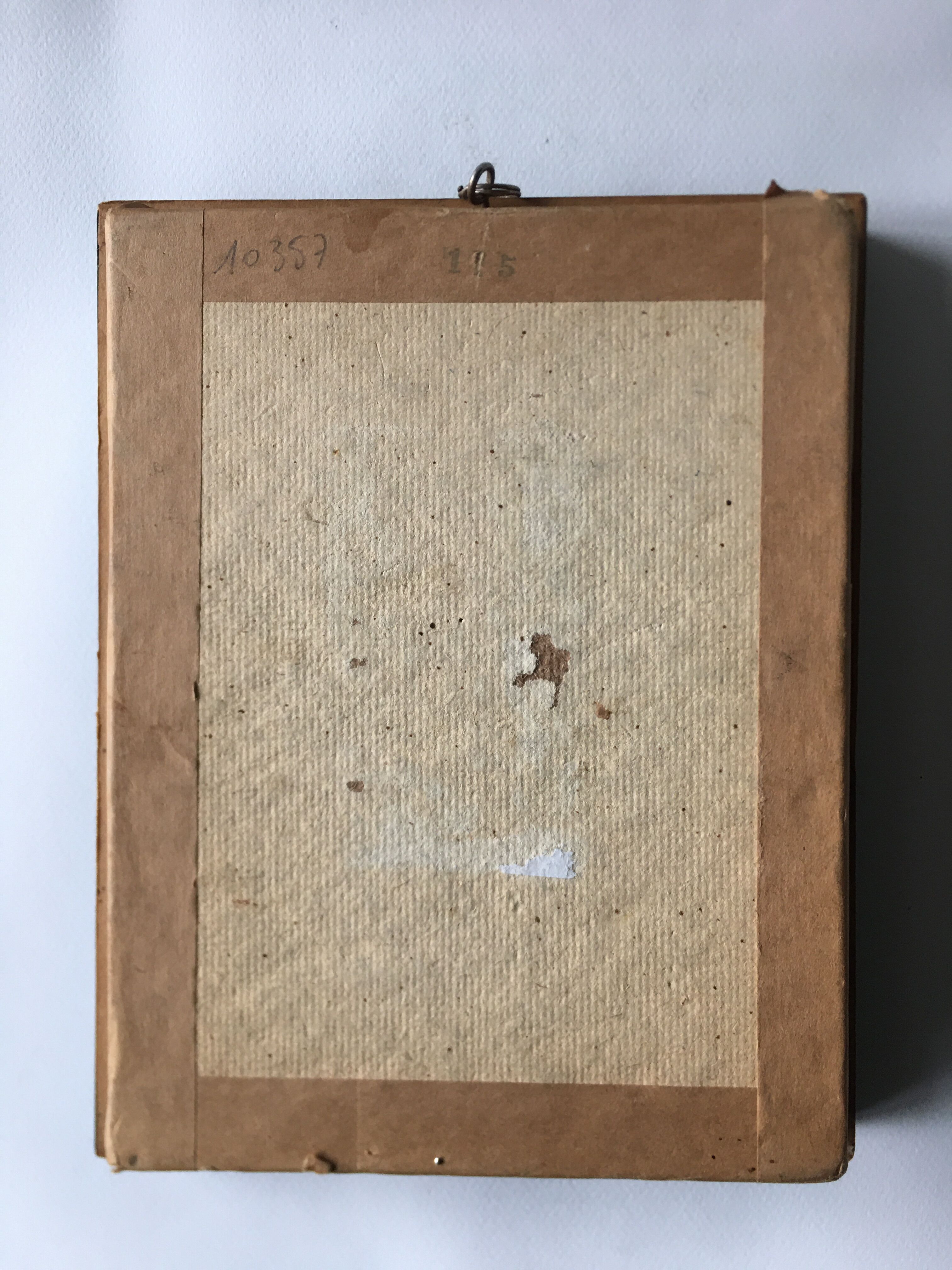 Vintage frame naturalized butterflies