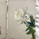 2 paintings on old cardboard dahlia flowers