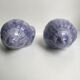 Duo of salt and pepper shaker in slurry shell pattern 70s