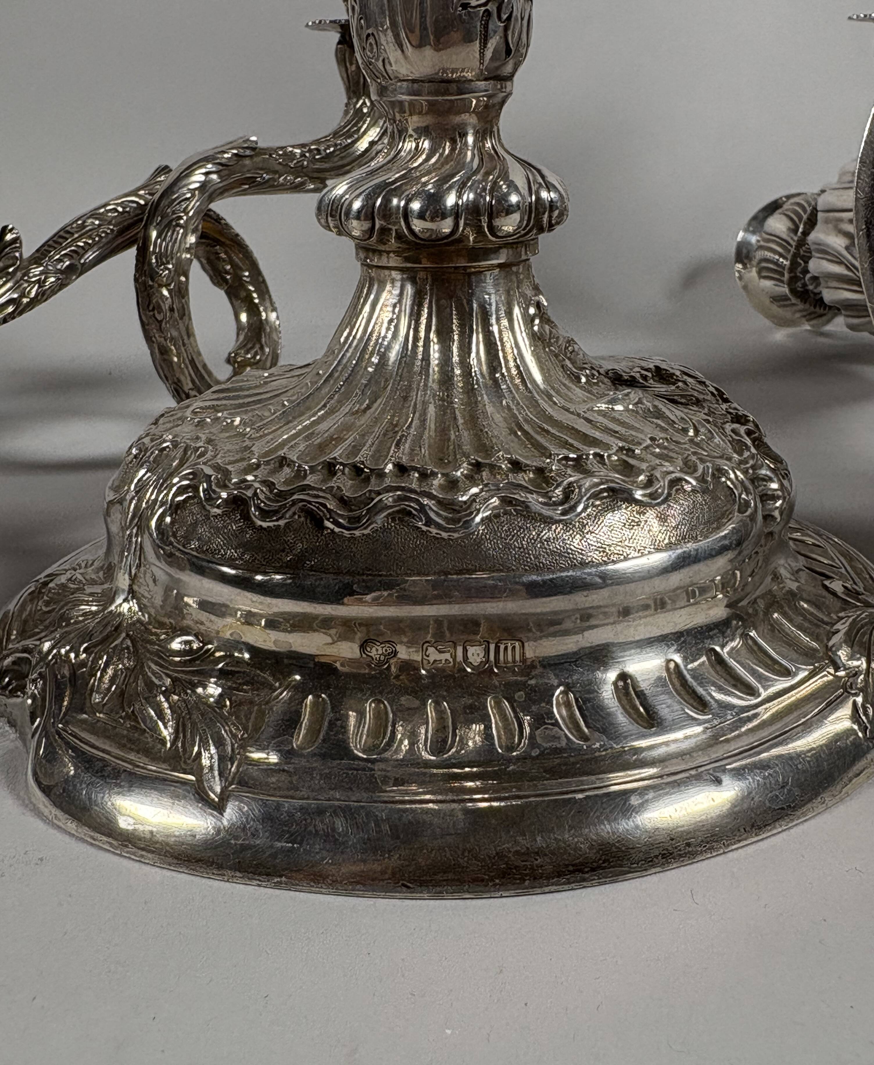 Pair of rocaille candelabra in solid 950 silver Louis XV style
