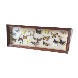 Large butterfly frame