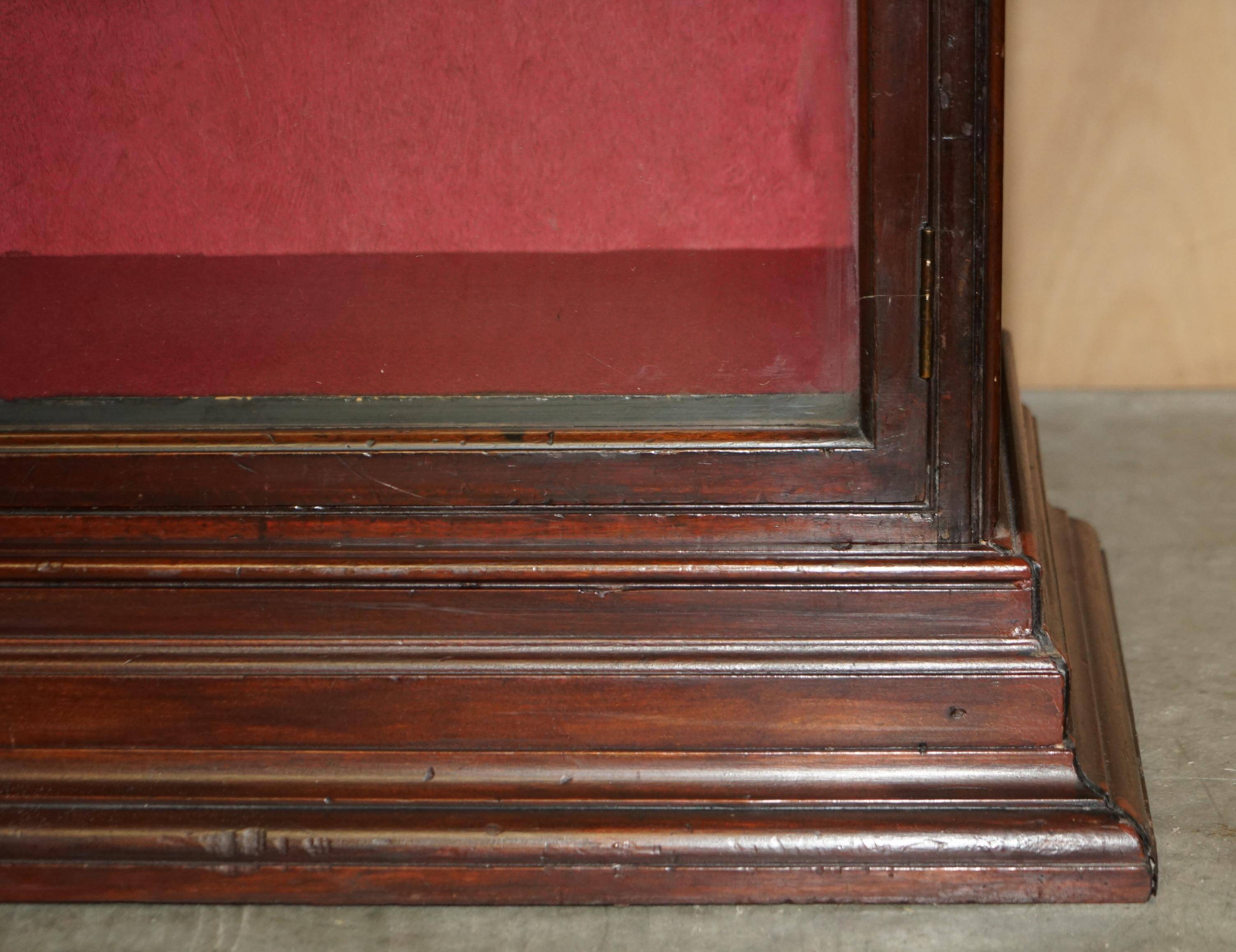 Large display cabinet in Victorian apothecary style.