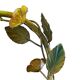 Stylized floral lamp in painted sheet