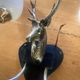 4 Wall lights with 2 arms 1960s deer head Decor hunting hunter brass