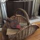 Large logs braided wicker basket