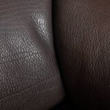 Vintage DS-47 Two-Seater Sofa by De Sede, Neck Leather Extendable Seat 1970