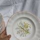 6 deep plates – Capôa earthenware – vintage Portuguese