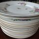 12 Plates pattern flowers in Limoges porcelain