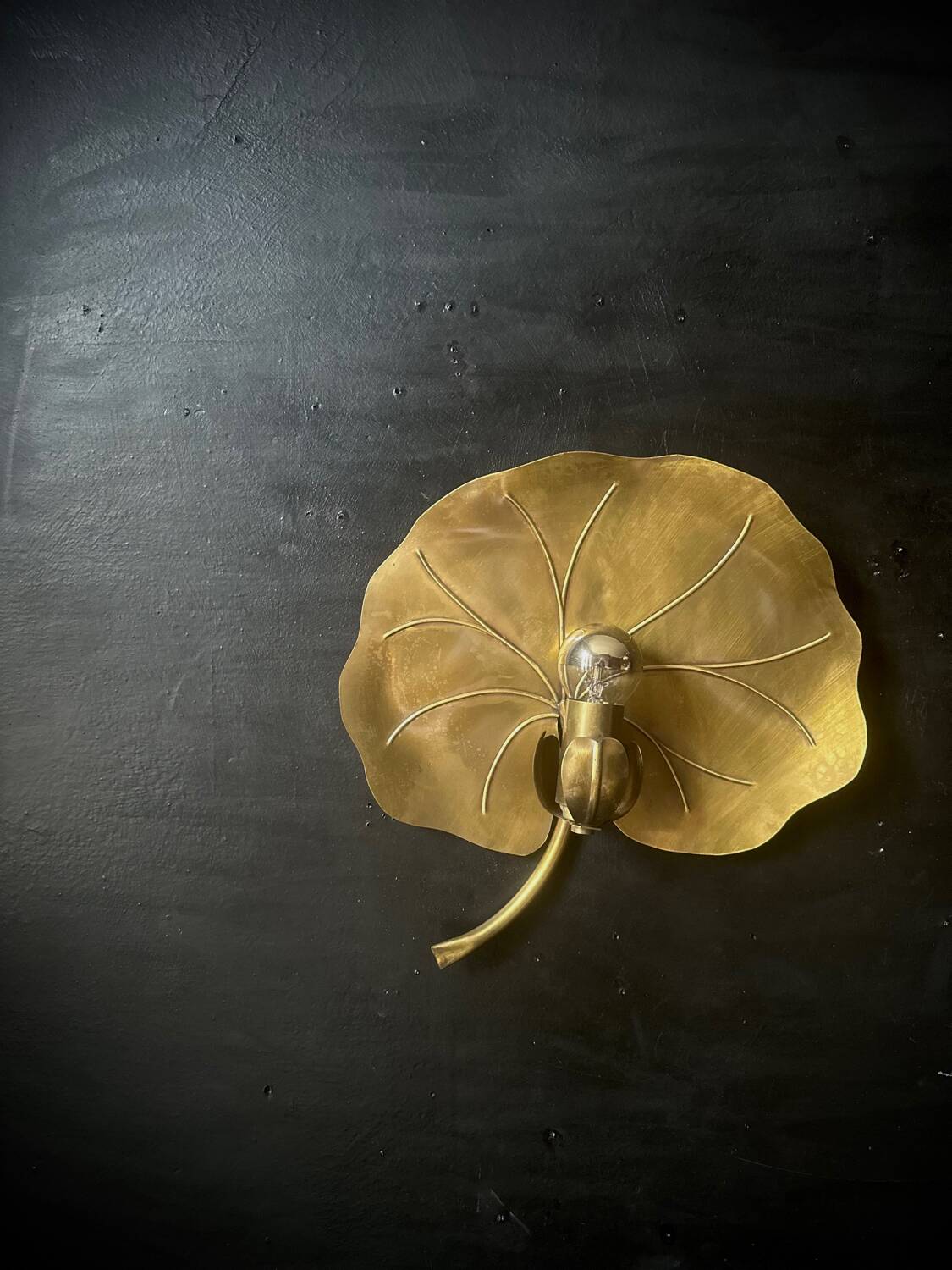 Water lily wall light