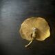 Water lily wall light
