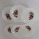 6 plates fruits of the woods arcopal ripe strawberry raspberry