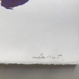 Pierre pallut, colors, circa 1973. original lithograph signed in pencil
