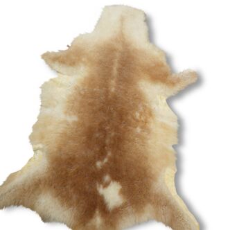 Sheepskin guanaco