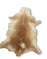 Sheepskin guanaco