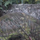 Art Deco mirror from the 1930s – Beveled glass & carved frame