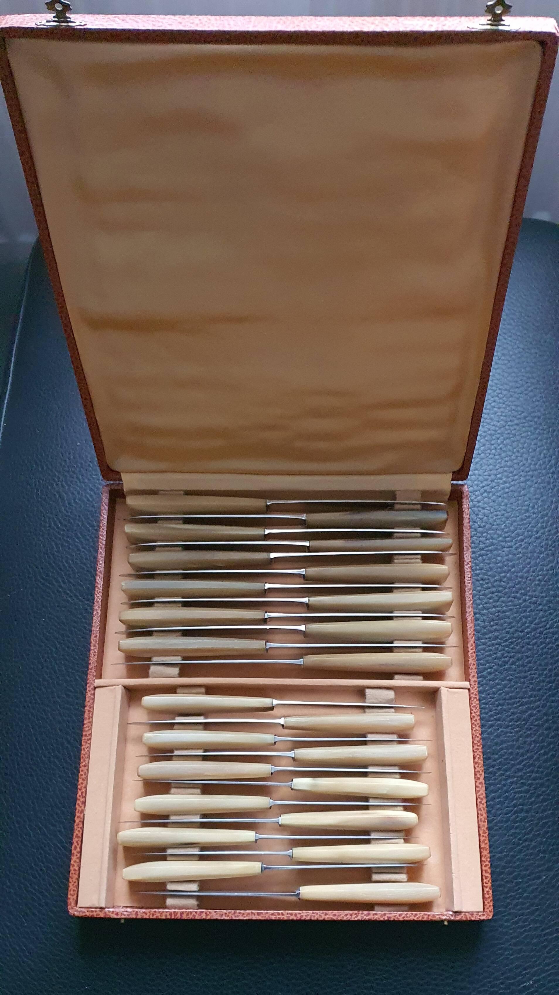 Box of 24 horn and stainless steel knives