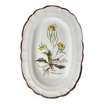 Earthenware dish with botanical decoration "Diplotaxis muralis", Haute Provence