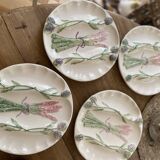 Vintage asparagus plates