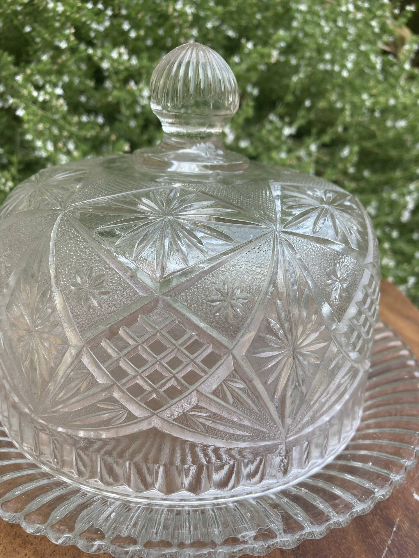 Pressed and moulded glass cheese dome