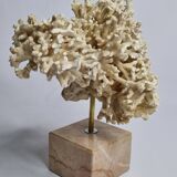 Antique White Coral on Marble Base, Height 20 cm