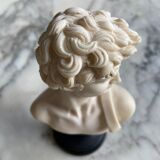 Bust of David