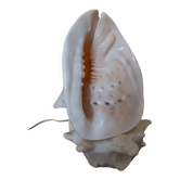 Night light, shell lamp 60s